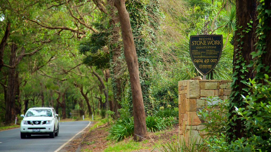 Red Hill South montrant visite en véhicule et forêts