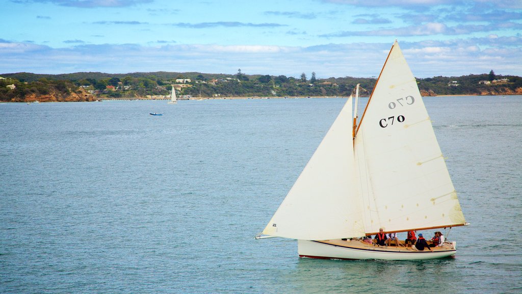 Searoad Ferry Terminal showing sailing