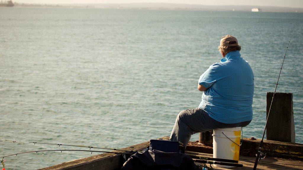 Portsea Pier que inclui pesca assim como um homem sozinho