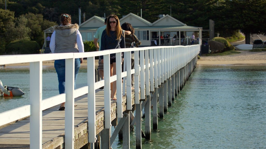 Sorrento Front Beach assim como um pequeno grupo de pessoas