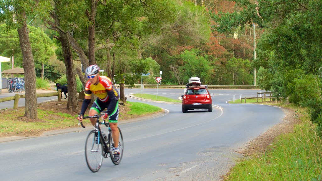 Red Hill showing road cycling