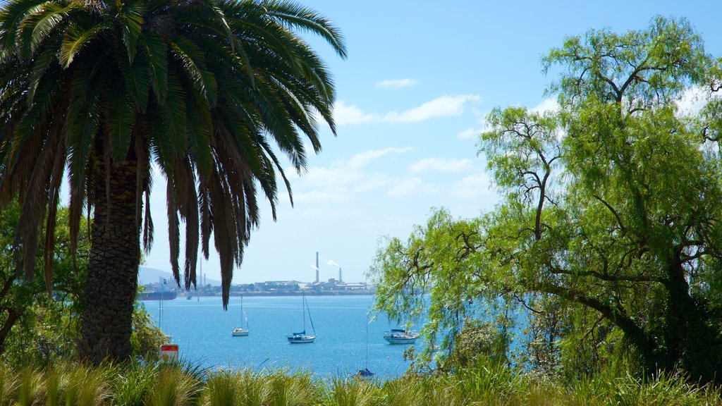 Geelong showing general coastal views