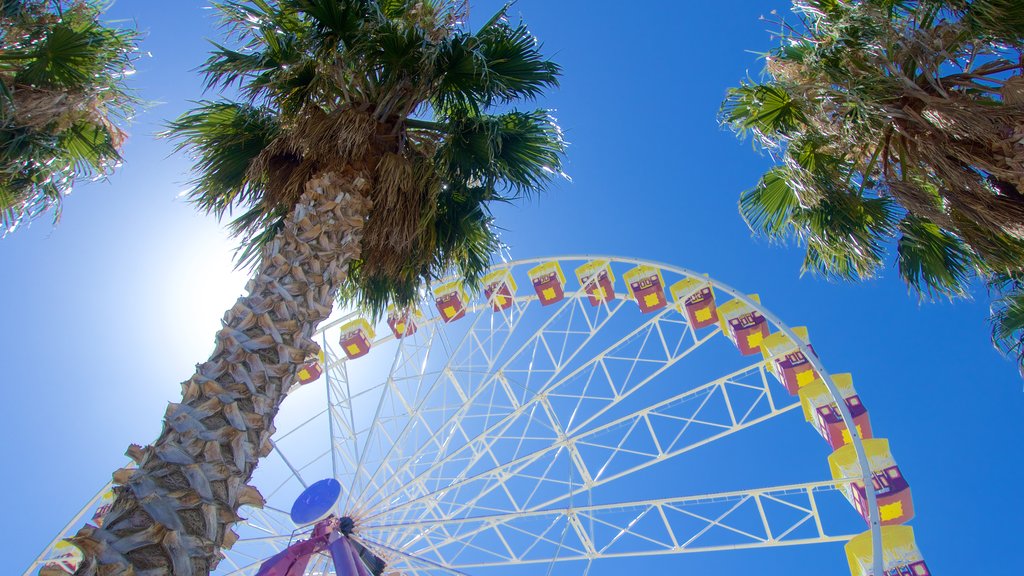 Geelong which includes rides