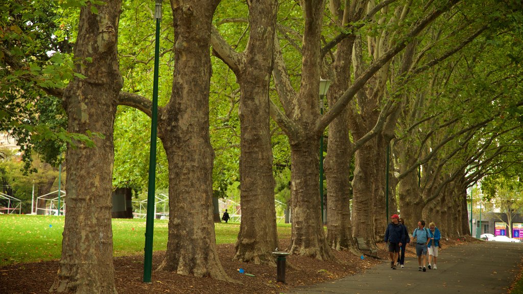 Jardins de Carlton que inclui um parque assim como um pequeno grupo de pessoas