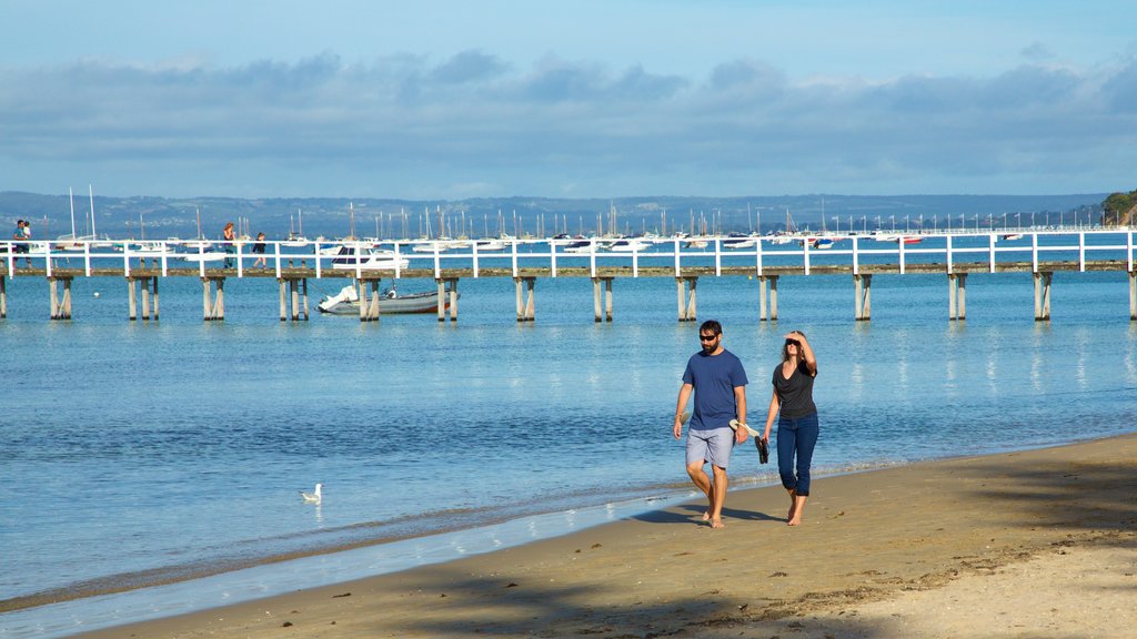 Sorrento Front Beach which includes a beach as well as a couple