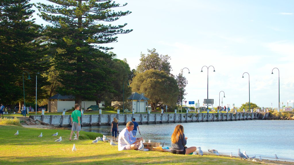 Sorrento Front Beach joka esittää yleiset rantanäkymät sekä pieni ryhmä ihmisiä