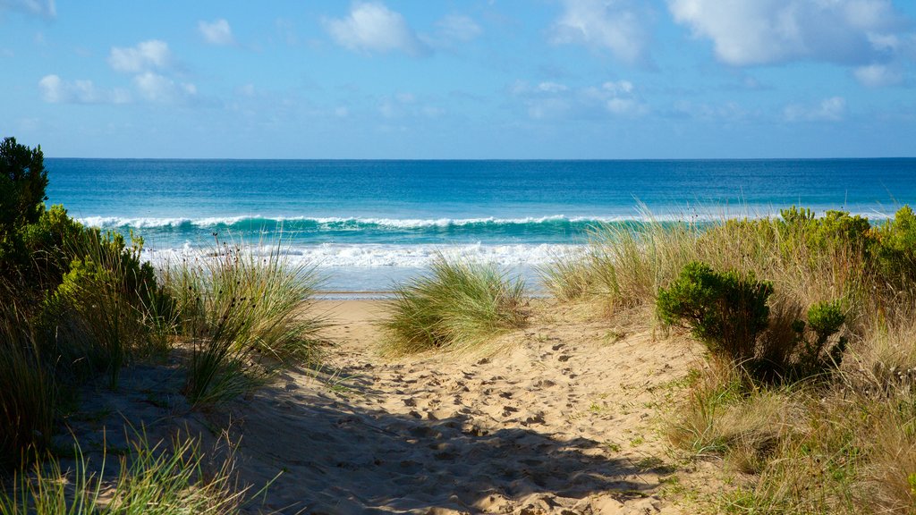 Apollo Bay que incluye una playa