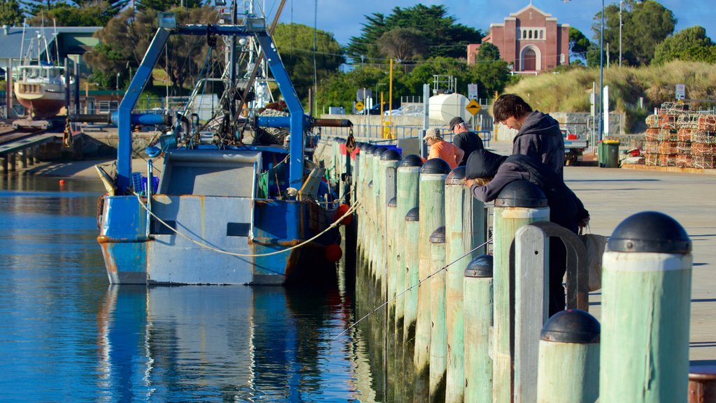 Porto di Apollo Bay che include giro in barca, porto turistico e pesca