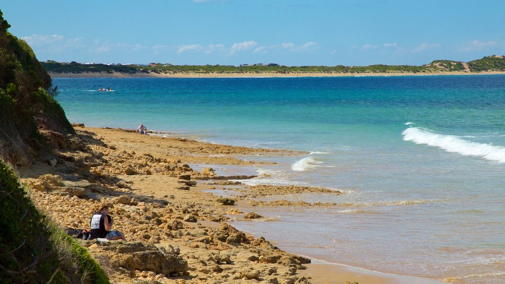 Torquay mettant en vedette rochers au bord de la mer et paysages côtiers