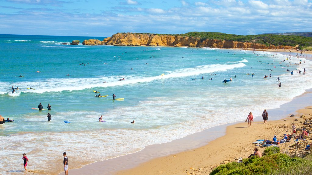 Torquay caratteristiche di baia e porto cosi come un grande gruppo di persone