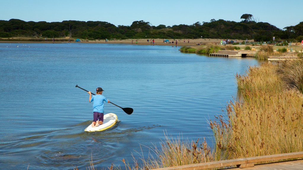 Anglesea ofreciendo kayak o canoa y un río o arroyo y también un niño