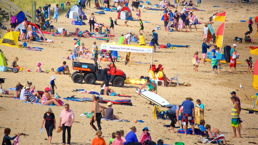 Anglesea showing general coastal views as well as a large group of people