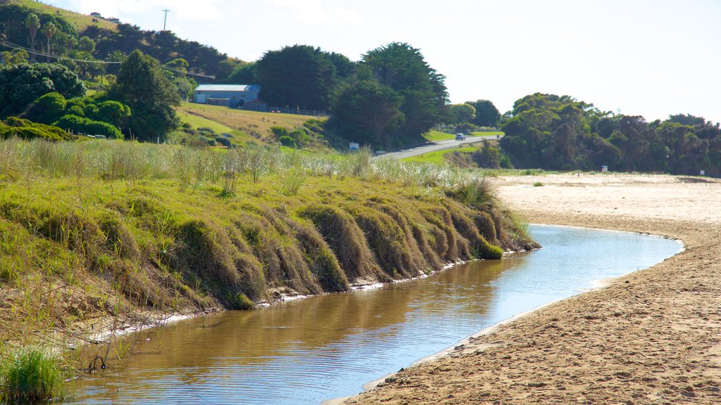 Skenes Creek featuring a river or creek