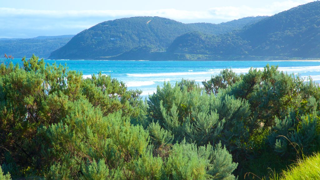 Fairhaven showing general coastal views