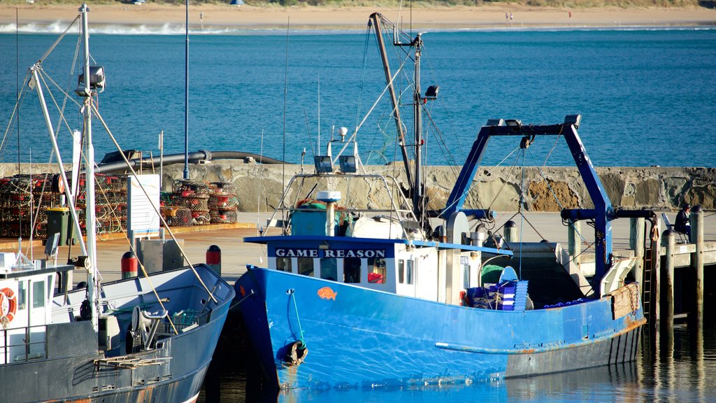 Apollo Bay Harbour featuring boating, general coastal views and fishing