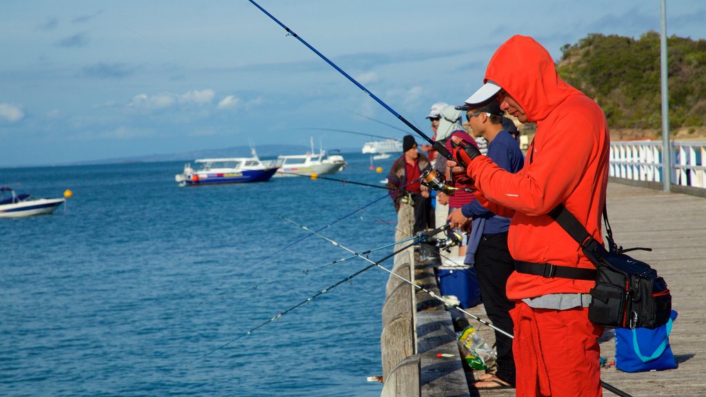 Portsea Pier mostrando paisagens litorâneas e pesca assim como um homem sozinho