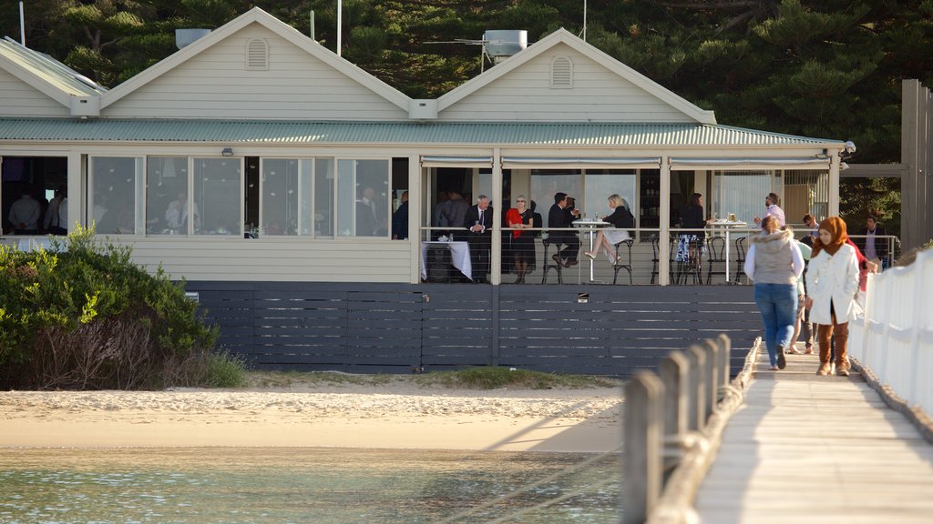 Sorrento Front Beach featuring a beach and dining out as well as a large group of people