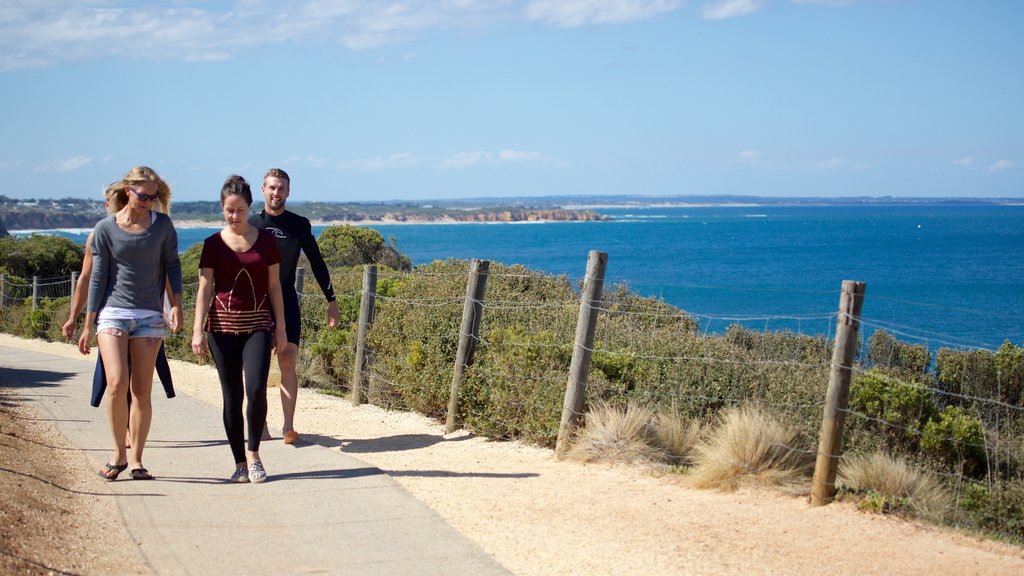 Bell\'s Beach showing general coastal views as well as a small group of people