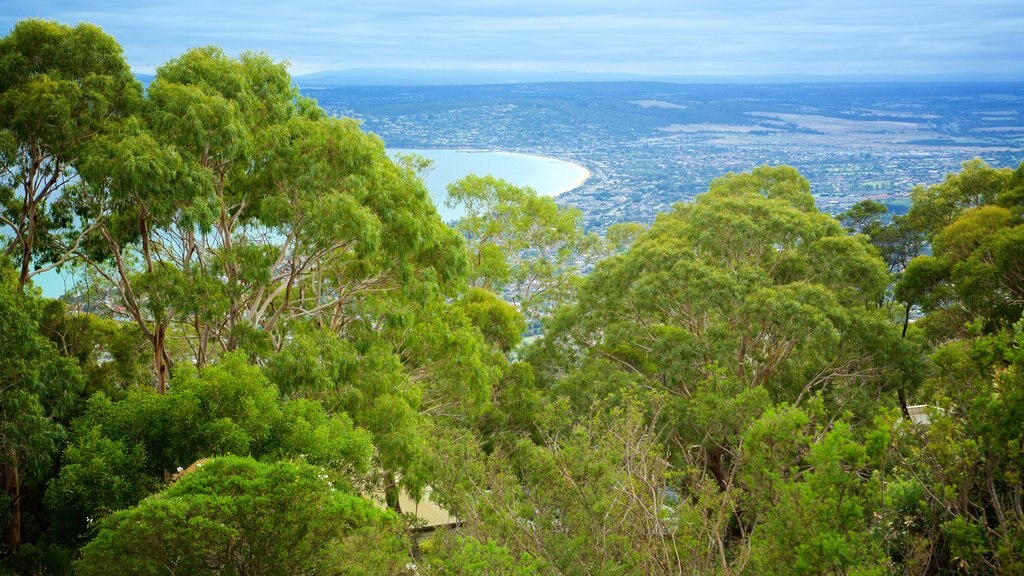 Melbourne ofreciendo vista general a la costa y bosques