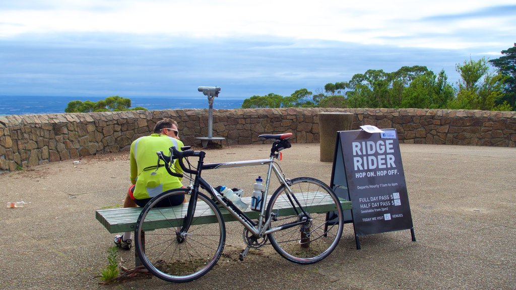 Melbourne caracterizando ciclismo urbano assim como um homem sozinho