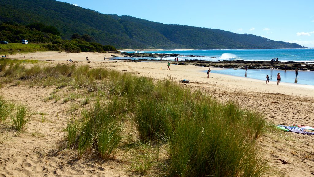 Great Ocean Road toont een strand