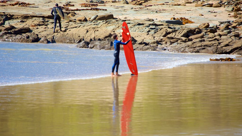 Great Ocean Road showing surfing and a sandy beach as well as an individual male