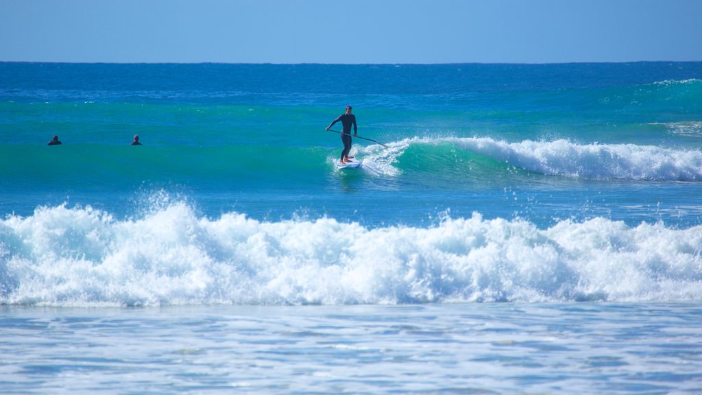 Great Ocean Road showing surfing and surf as well as an individual male