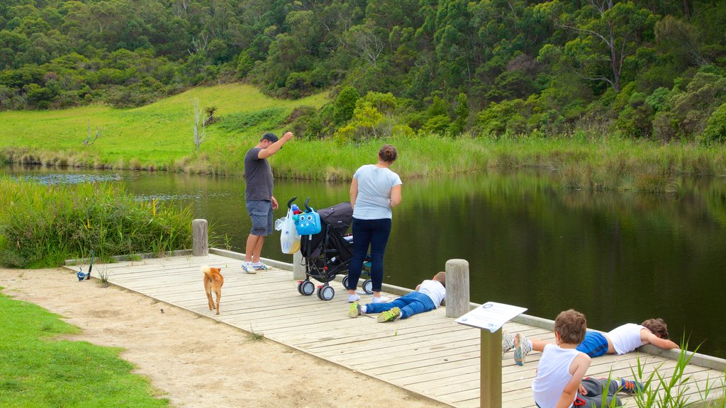 Great Ocean Road mettant en vedette une rivière ou un ruisseau aussi bien que une famille