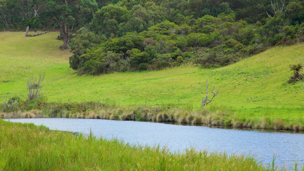 Great Ocean Road which includes a river or creek