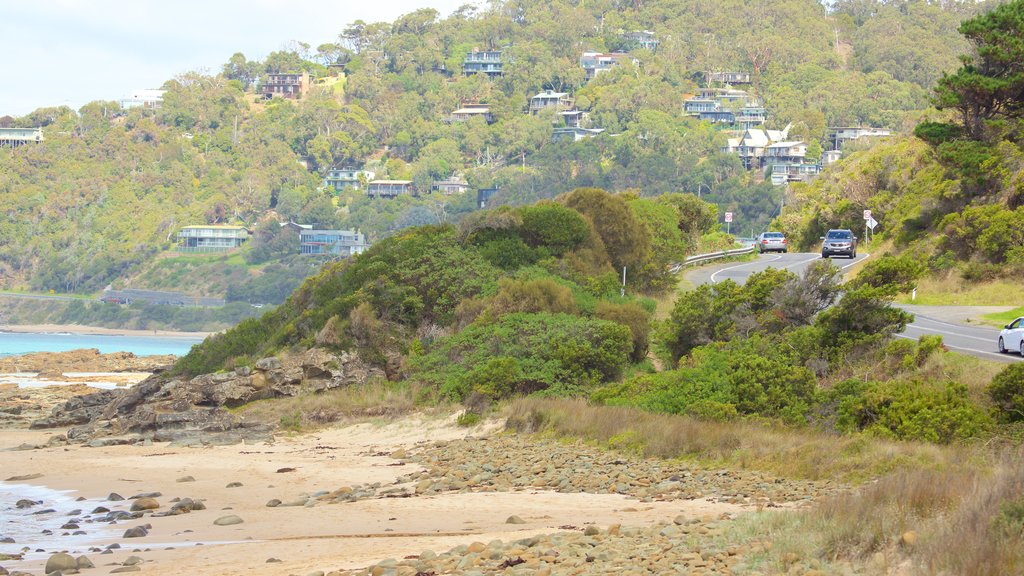 Great Ocean Road showing vehicle touring