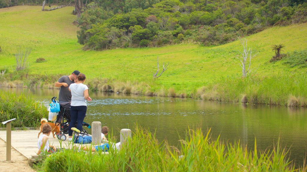 Great Ocean Road showing a river or creek as well as a family