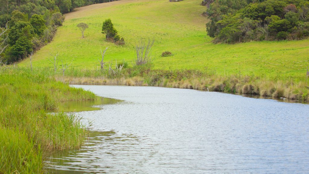 Great Ocean Road inclusief een rivier of beek