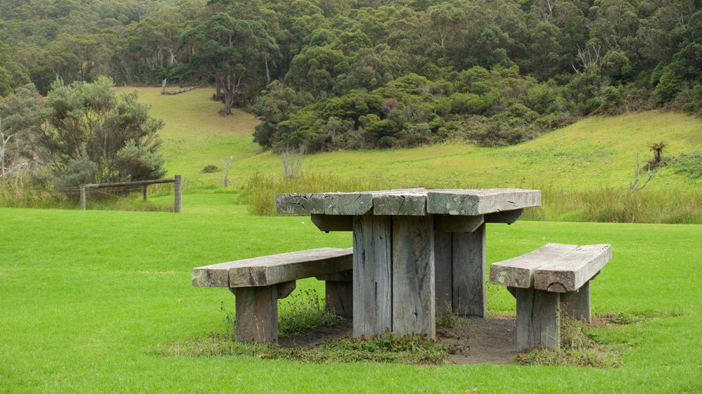 Đường Great Ocean