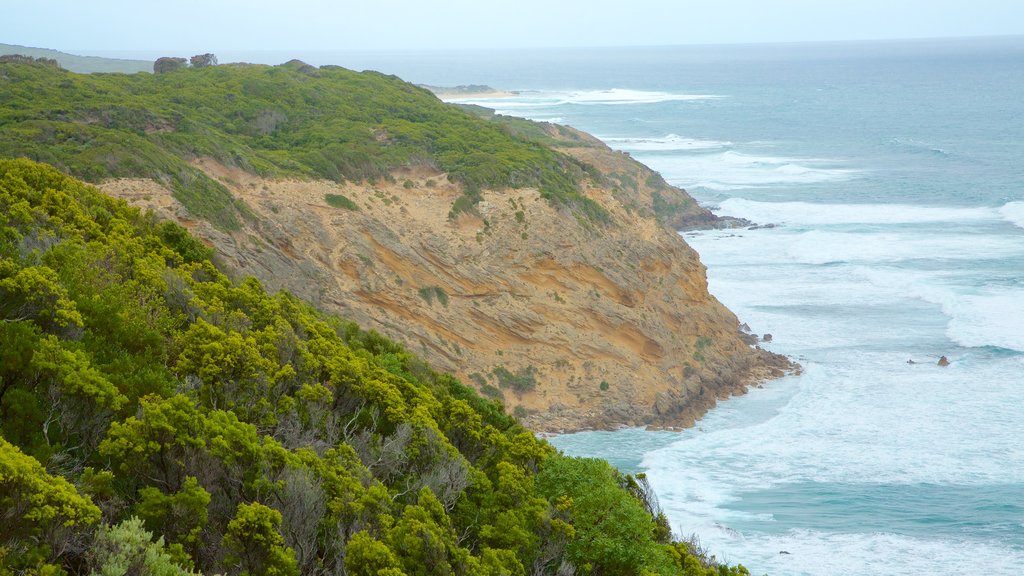 Apollo Bay ofreciendo costa escarpada y montañas