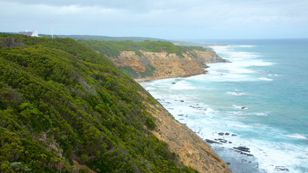 Apollo Bay showing rugged coastline and mountains