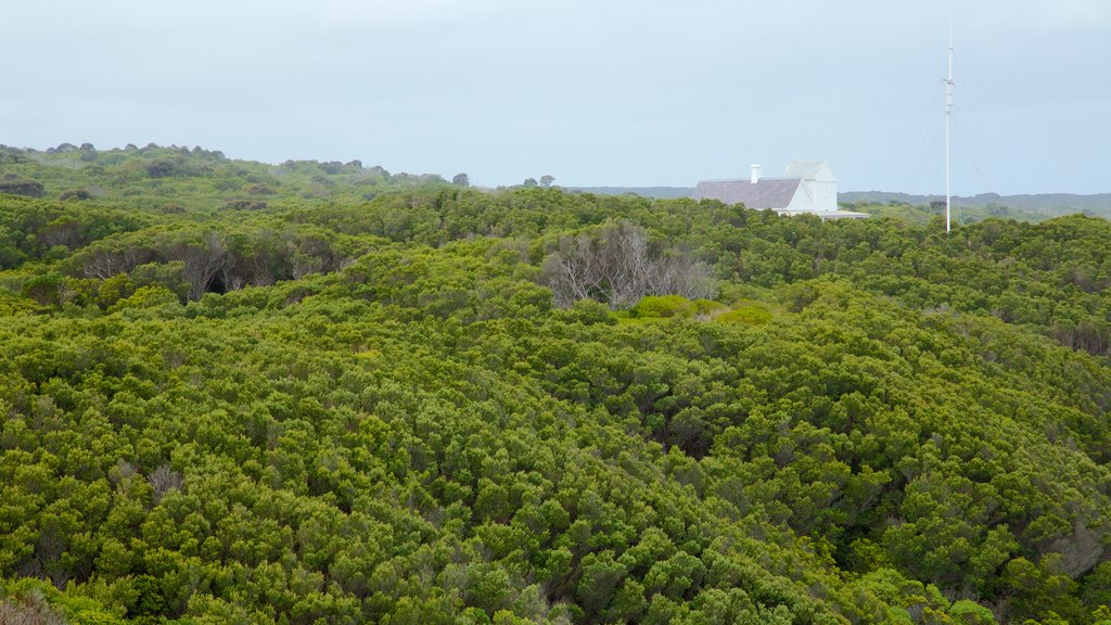 Victoria featuring landscape views and forests