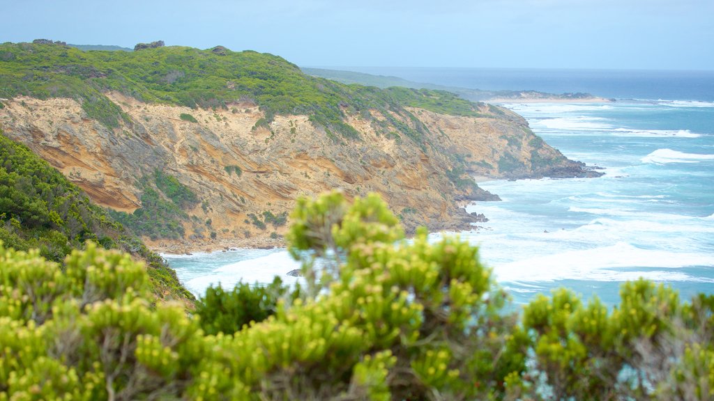 Apollo Bay showing landscape views and rugged coastline