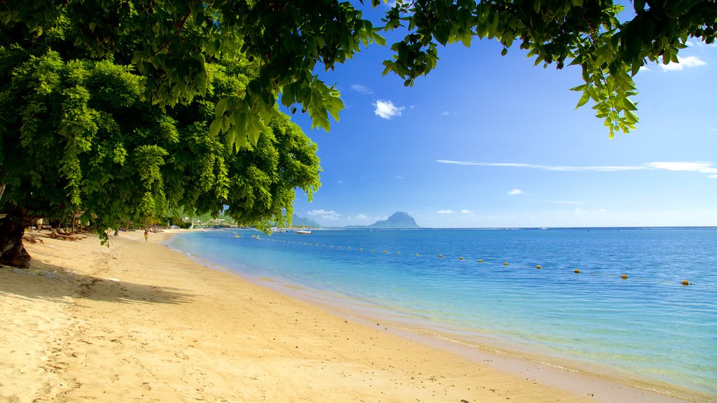 Flic-en-Flac das einen Strand