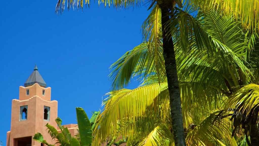 Belle Mare showing tropical scenes