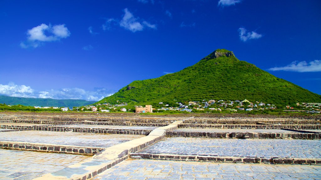 Tamarin 其中包括 山岳