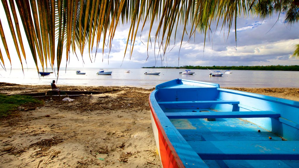 Tamarin showing boating and a sandy beach