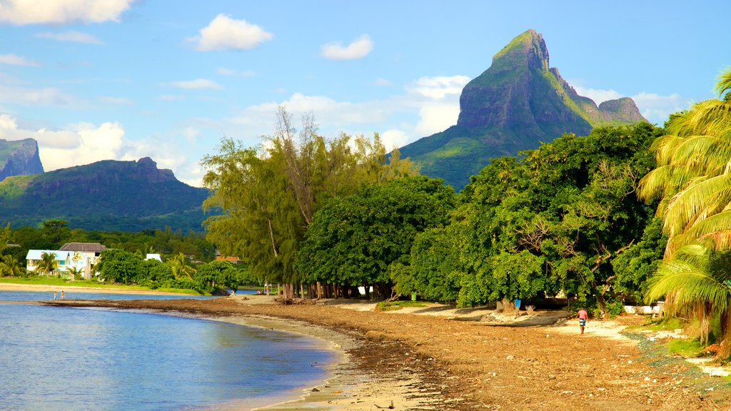 Tamarin que incluye una bahía o un puerto y montañas