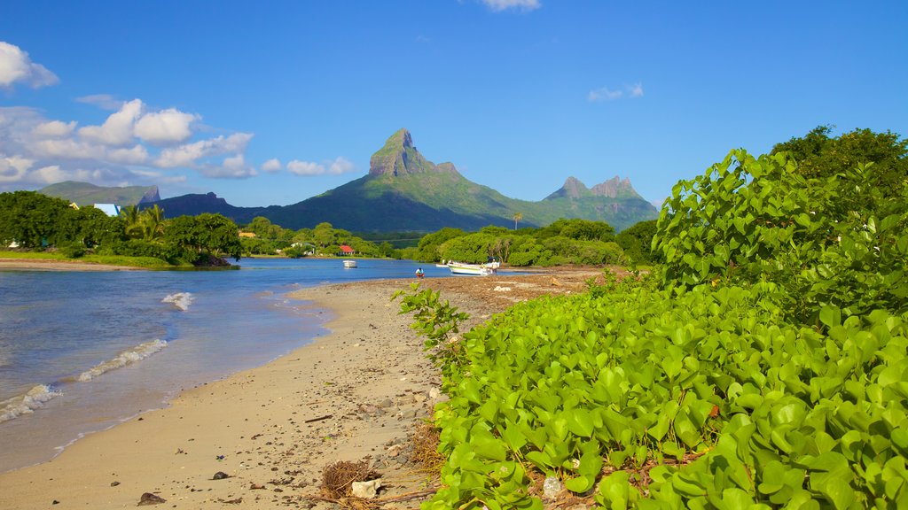 Tamarin which includes mountains and a sandy beach