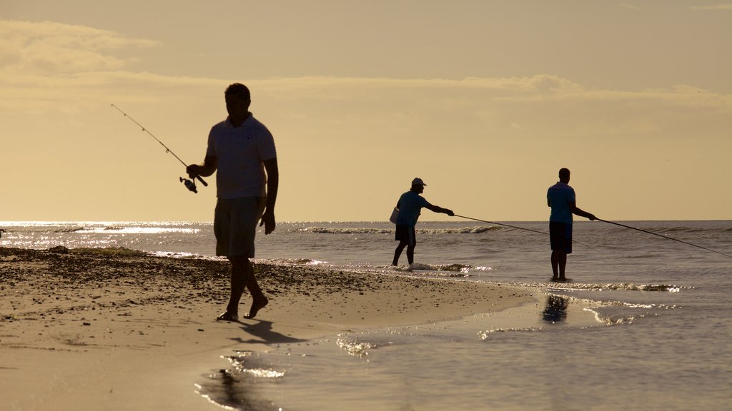 Tamarin showing fishing, a sandy beach and a sunset