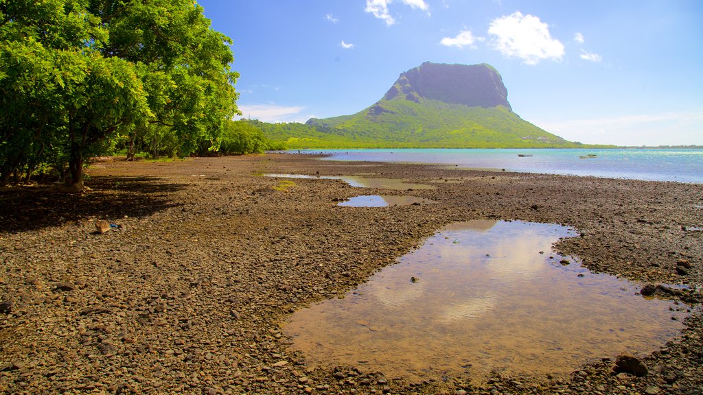 Le Morne mostrando montañas y una playa de piedras