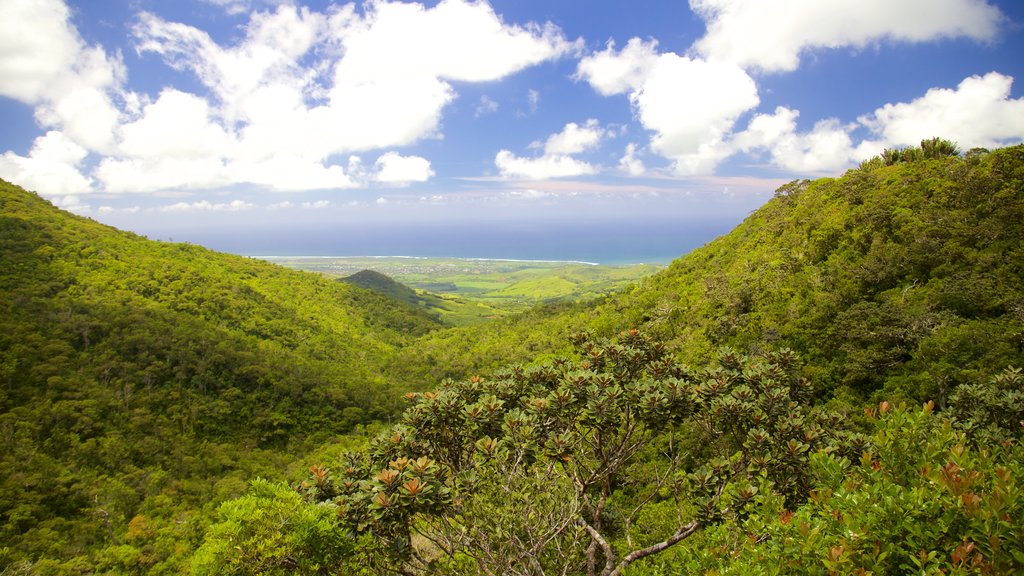 Black River Gorges National Park which includes forest scenes, landscape views and general coastal views