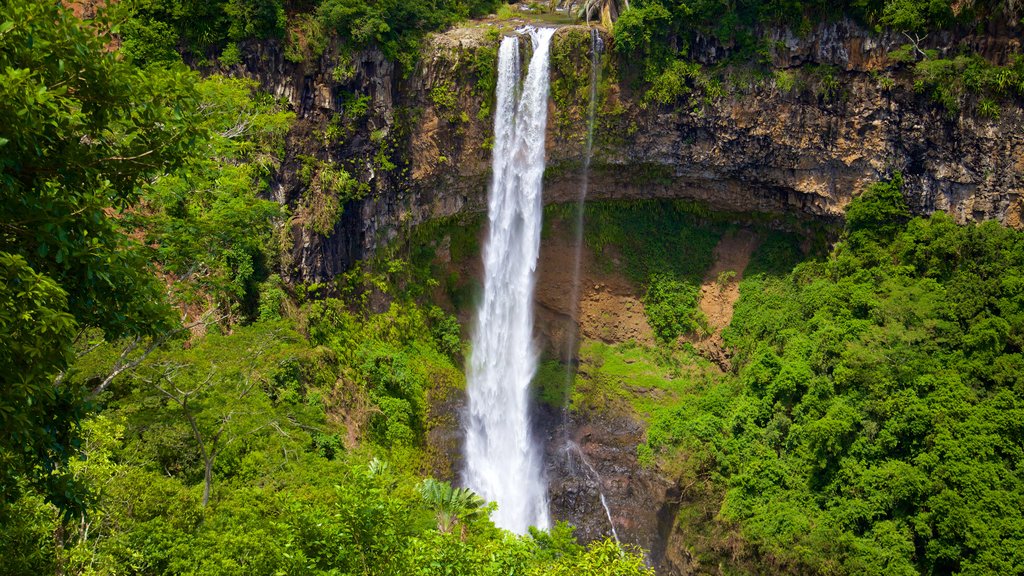 Parque Nacional Black River Gorges mostrando uma cachoeira e floresta tropical