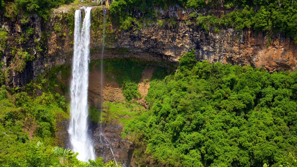 Black River Gorges National Park featuring a waterfall and rainforest