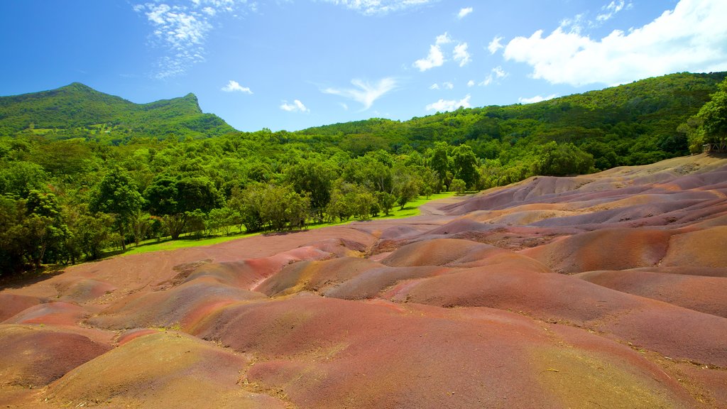 Black River Gorges National Park which includes landscape views and forests