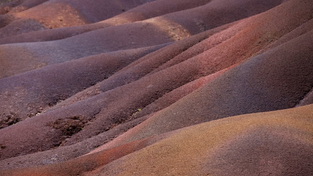 Black River Gorges National Park